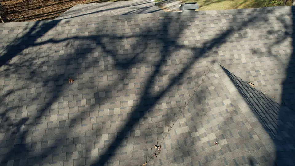 New architectural shingles on a hip roof in Alexander, with tree shadows across the roof
