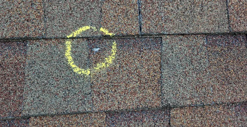 Bruised shingle where hail knocked off the granules, circled in chalk by the inspector