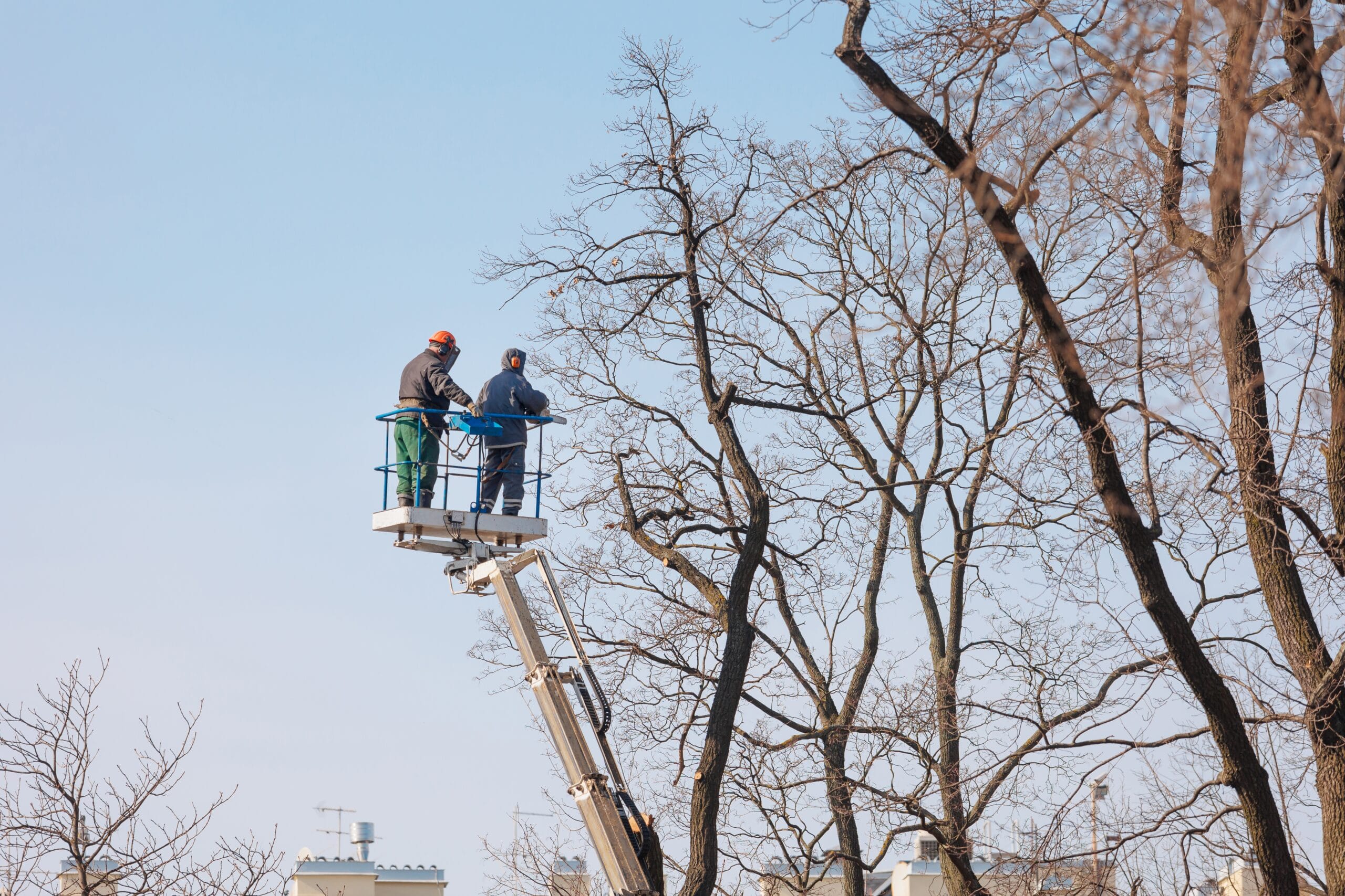 summer roof prep, summer roof maintenance in Maumelle