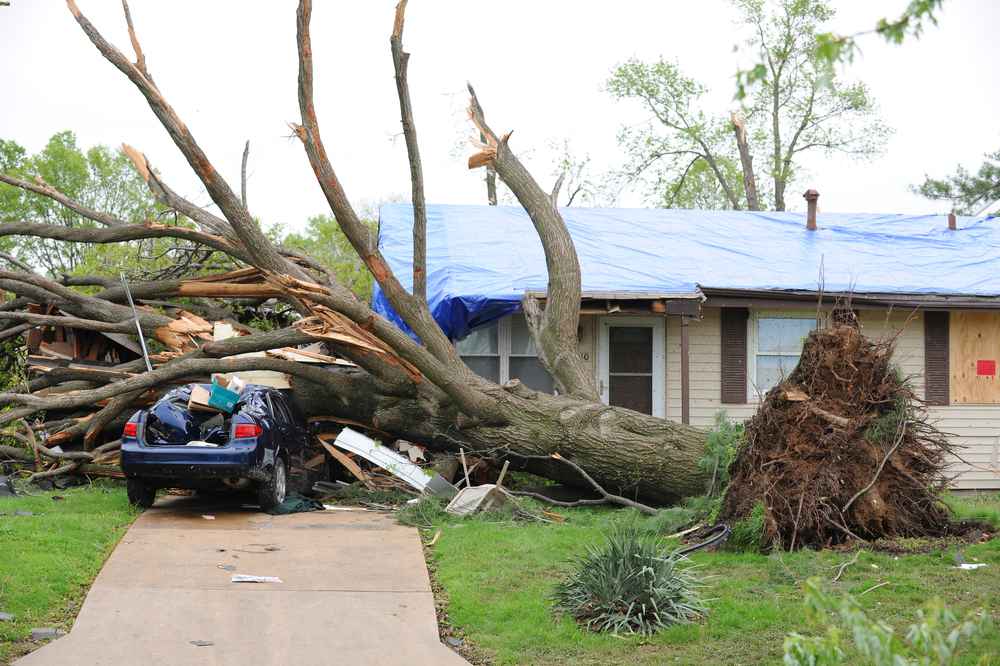 storm damage expert in Mayflower AR