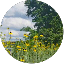 Carmen Quinn profile picture
