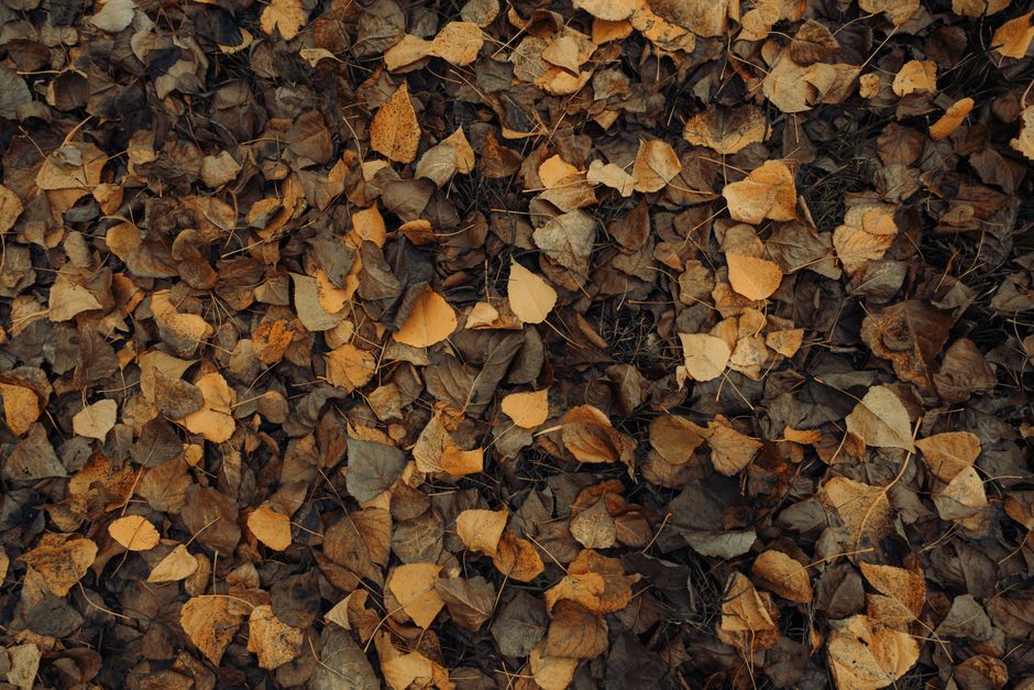 Infographic: How water flows through a clean vs. clogged gutter in Central Arkansas fall conditions Infographic: How water flows through a clean vs. clogged gutter in Central Arkansas fall conditions